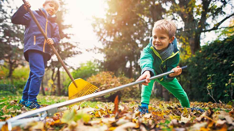 November gardening jobs children raking leaves